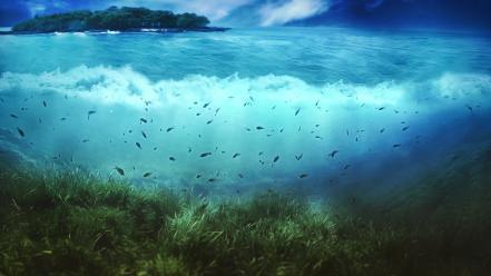 Fish islands seaweed splitview underwater wallpaper