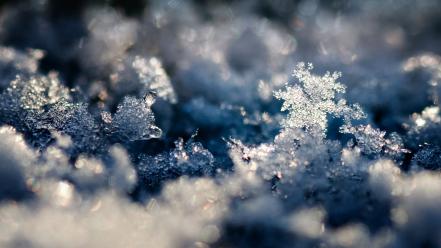Frost melting snow winter wallpaper