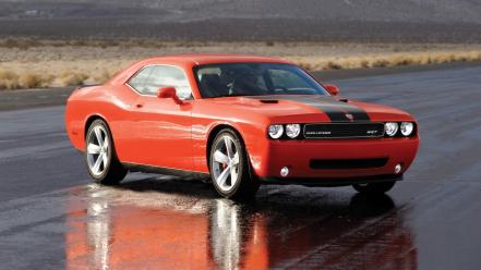 2008 dodge challenger srt8 pavement wet wallpaper