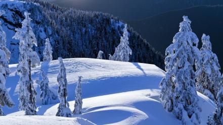 British columbia mount vancouver north parks wallpaper