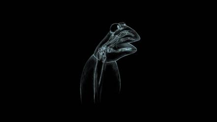 Frog sesame street xray abstract black background wallpaper