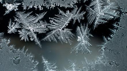 Frost glass ice crystals wallpaper