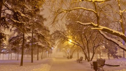 Ice park bench snow trees wallpaper