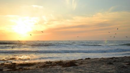 Los angeles beaches sunset wallpaper