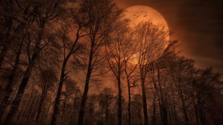 Moon creepy landscapes monochrome nature wallpaper