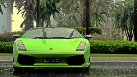 Lamborghini cars green palm trees rain wallpaper