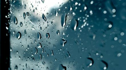 Macro rain on glass wallpaper