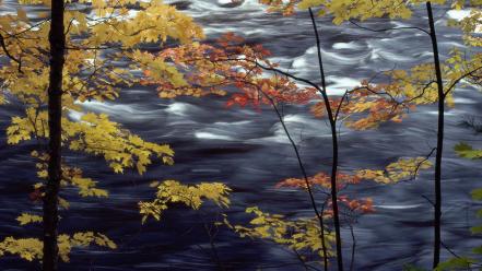 Autumn (season) lakes colors wallpaper