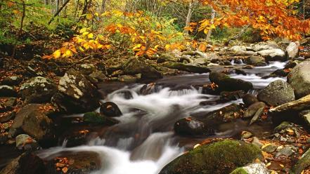 Autumn (season) tennessee lakes great smoky mountains creek wallpaper
