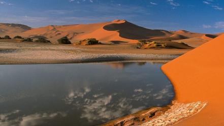 Desert oasis dunes wallpaper