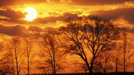 Sunset sun trees skyscapes virginia wallpaper