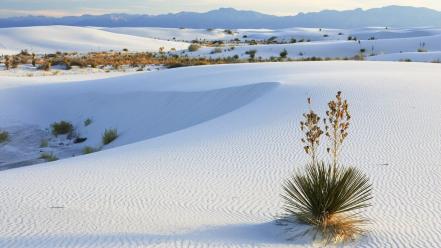 White desert national monument new mexico dunes wallpaper