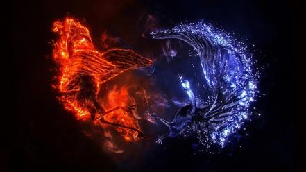 Blue fantasy art fire ice phoenix wallpaper