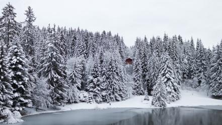 Cabin forests frozen lake nature pine trees wallpaper