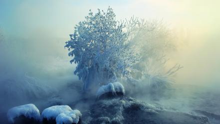 Ice mist snow trees wallpaper