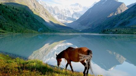 Horses lakes landscapes mountains wallpaper
