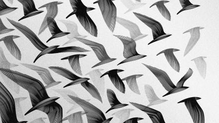 Artwork birds flying greyscale wallpaper