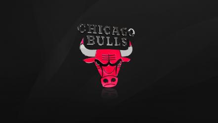 Chicago bulls bull minimalistic wallpaper