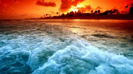 Clouds landscapes coast beach palm trees sea wallpaper