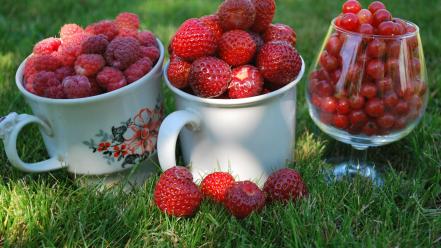 Fruits food grass raspberries strawberries berries bowl wallpaper