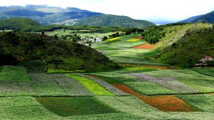 Landscapes nature flowers china bloom yunnan wallpaper
