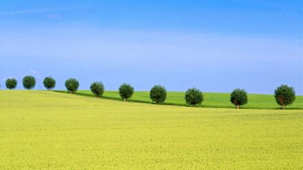 Nature trees sweden wallpaper