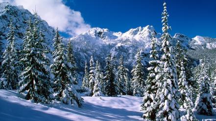 Nature winter lakes washington wallpaper