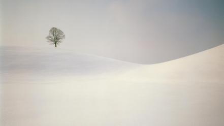 Nature winter seasons switzerland peaceful wallpaper
