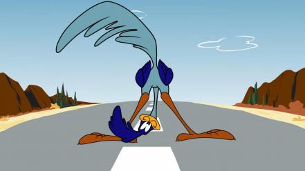 Roadrunner coyote looney tunes wallpaper