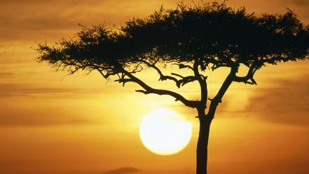 Sunrise blue mara africa kenya wallpaper