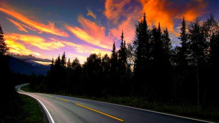Sunset clouds landscapes trees streets forest roads wallpaper