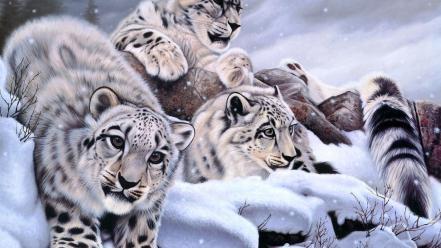 Animals snow leopards wallpaper