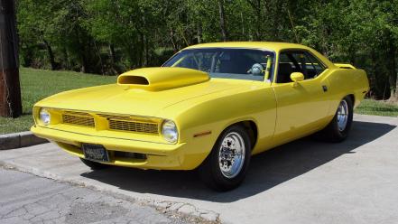 Muscle cars usa plymouth barracuda classic widescreen cuda wallpaper