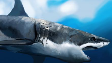 Sharks underwater wallpaper
