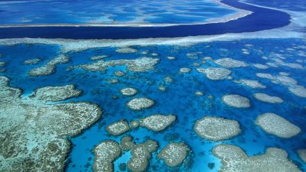 Us marines corps australia great barrier reef wallpaper