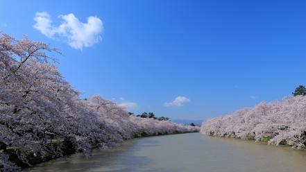 Water japan blossoms rivers skyscapes wallpaper