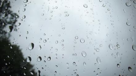 Water rain glass drops wallpaper