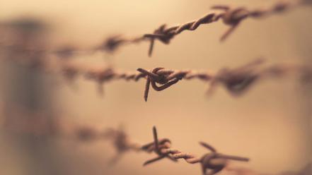 Fences depth of field barbed wire wallpaper