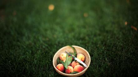 Green nature artistic grass peaches summer apricots wallpaper