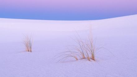 New mexico tranquility white sands wallpaper