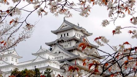 Japan cherry blossoms flowers japanese architecture wallpaper