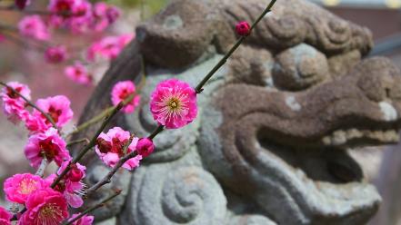 Japan cherry blossoms flowers spring (season) statues pink wallpaper