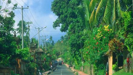 Roads power lines palm trees india wallpaper