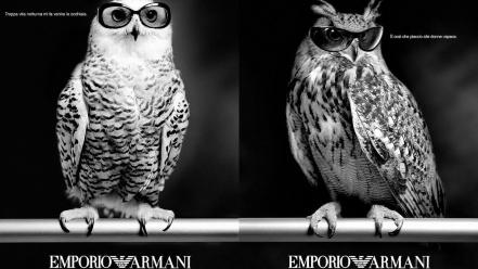 Birds fashion sunglasses grayscale owls emporio armani wallpaper