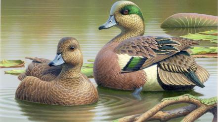 Ducks wallpaper