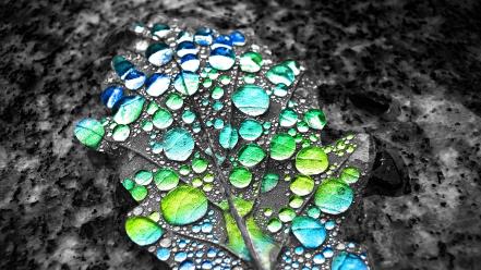 Leaves deviantart digital art water drops selective coloring wallpaper