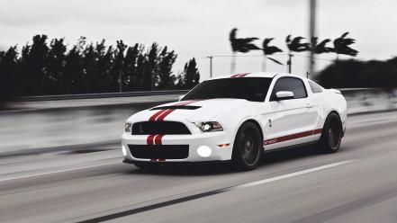 White ford shelby gt500 wallpaper