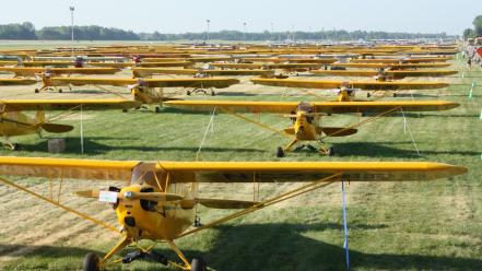 Aircraft aviation airventure piper cub wallpaper