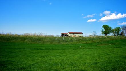 Green blue landscapes grass serene vineyard farm peaceful wallpaper