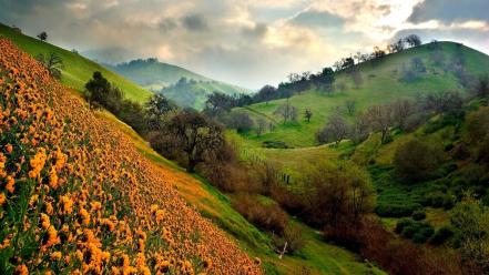 Green mountains nature hills wallpaper